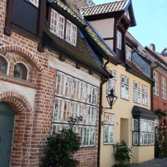 Meeresleuchten - Bild 1
