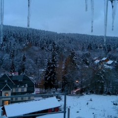 Schierker Waldperle - Bild 15