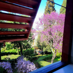 Villa Nardi - Residenza D'Epoca - Bild 15