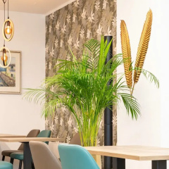 Central Hotel & Lounge Adult Only - Bild 15