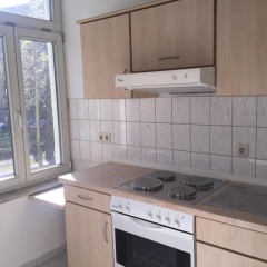 Zentrales Apartment -Am Stadtpark- - Bild 1