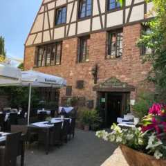 Weingärtner - Bild 18