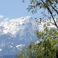 Bergpanorama Haus Hopfner - Bild 9