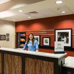 Hampton Inn Orange City thumbnail 21