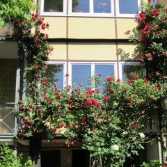 KernerApartement - Bild 1