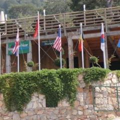 Tree Houses - Bild 1