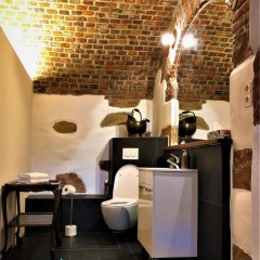 Historical Luxury Homes - Bild 8