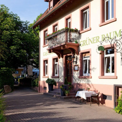 Hotel Grüner Baum Merzhausen - Bild 1