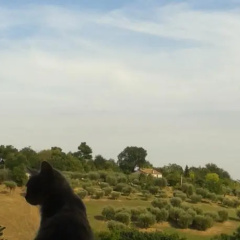 Marche Holiday Hill thumbnail 3