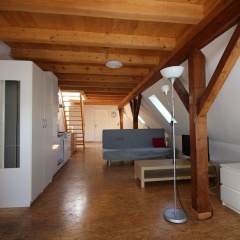 Apartments Swiss Star Sihlfeld - Bild 10
