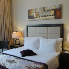 Celik Palace Hotel Convention Center & Thermal SPA - Bild 7