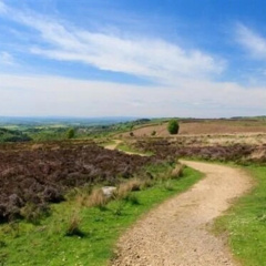 Woodlands Farm thumbnail 13