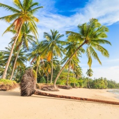 Chomphu Resort - Bild 19