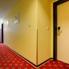 Hotel Elbinsel - Bild 13