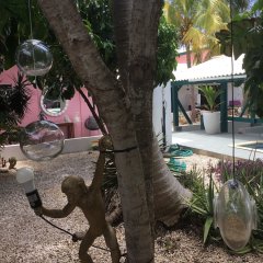 THUISHAVEN adults-only boutique resort in Willemstad, Curacao from 160$, photos, reviews - zenhotels.com photo 34