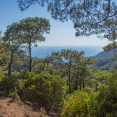Helios Gunes Camping - Bild 7