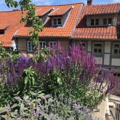 Idyll 23 - Bild 10