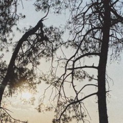 Kabak Utopya - Bild 10