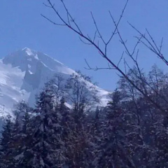 Mehlerhof thumbnail 4
