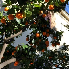 Hotel Lodi - Bild 12