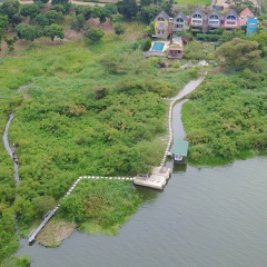 Yellow Haven Lodge thumbnail 37