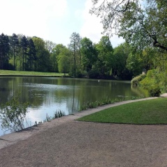 FeWo 2,4,5,6 Altstadt - Am grossen Garten - Bild 10