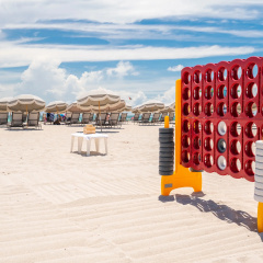 The Plymouth South Beach thumbnail 29
