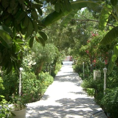 Gumbet Anil Beach - Bild 11
