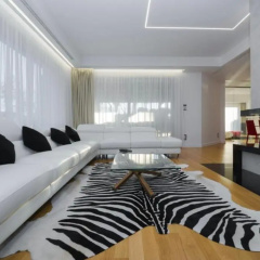 Suite  Testani