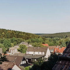 Hexe I - mit Blick auf den Wurmberg thumbnail 28
