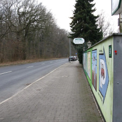 Waldersee - Bild 1