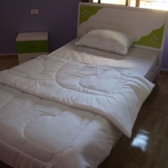 Deluxe Villa Guest House in Wadi Musa, Jordan from 31$, photos, reviews - zenhotels.com photo 2