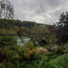 Aareggli - Bild 8