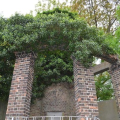 Zwei Raben Pension - Bild 15