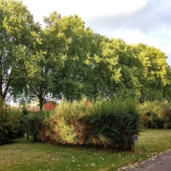 Ferienwohnung Dreilanderblick in Gorlitz - Bild 12