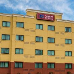 Comfort Suites Leesburg in Leesburg, United States of America from 150$, photos, reviews - zenhotels.com photo 34