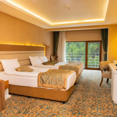Cam Thermal Resort Spa Convention Center - Bild 4