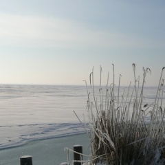 Relaxation on Usedom's Shores - Bild 15
