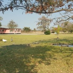 Twin Cave Lodge in Choma, Zambia from 52$, photos, reviews - zenhotels.com photo 4