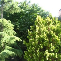 Boulogne's Douceur de Vivre - Bild 7
