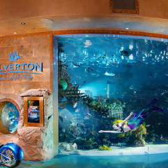 Silverton Casino Lodge - Newly Renovated