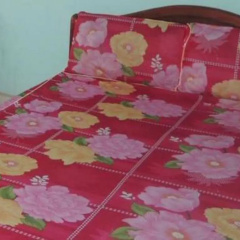 Thanh Thuy Guesthouse thumbnail 2