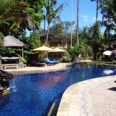 Rambutan Lovina Hotel - Bild 3