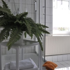 Gasthof zur Schweiz - Bild 8