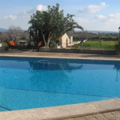 Son Gil - Bild 7