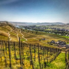 Garni Haus Weiskopf - Bild 12