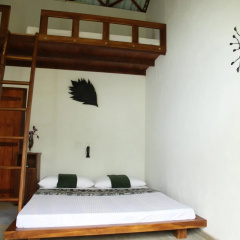 Sinharaja Forest Edge thumbnail 2
