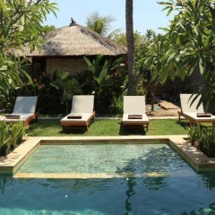 Guava Garden - Bild 14