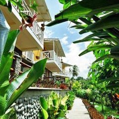 Calibishie Lodges in Massacre, Dominica from 180$, photos, reviews - zenhotels.com photo 3