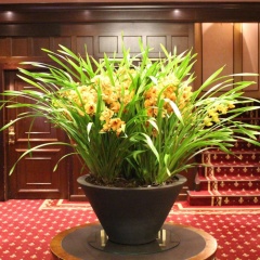 ProfilHotels Copenhagen Plaza - Bild 17